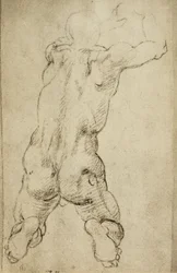Study of a virile figure